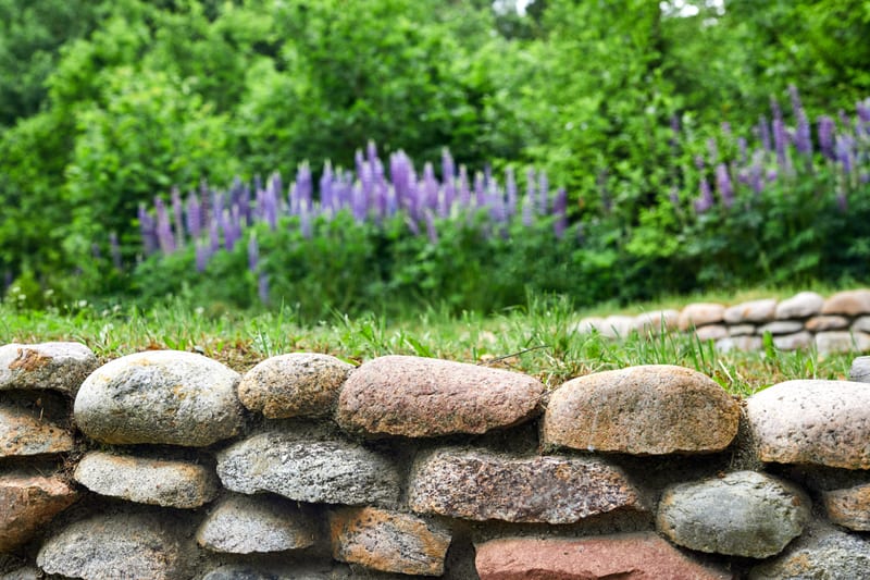 Muret en pierre et escalier de jardin