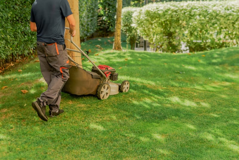 Tondeuse à gazon sur pelouse verte fraîchement tondue
